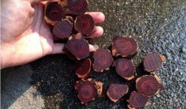 今日看料,揭秘最新资讯背后的故事